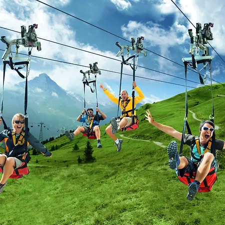 Romantik Schweizerhof Отель Гриндельвальд