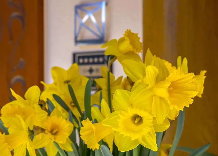 Romantik Schweizerhof Гриндельвальд